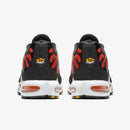 Air Max Tn 1 “'Sunset"