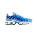 Air Max Plus TN 1 “Celestine Blue"